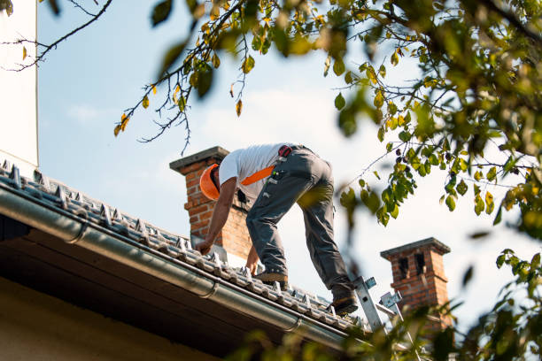 Best Local Roofing Companies  in Manvel, TX