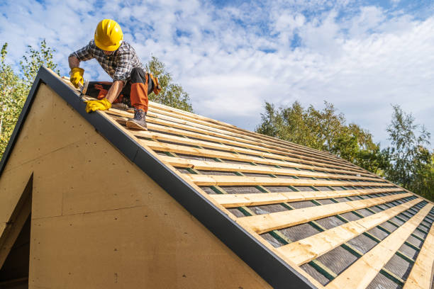 Best Roof Repair Services  in Manvel, TX
